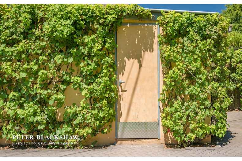 6 Prendergast Street Curtin 6 Prendergast Street Curtin