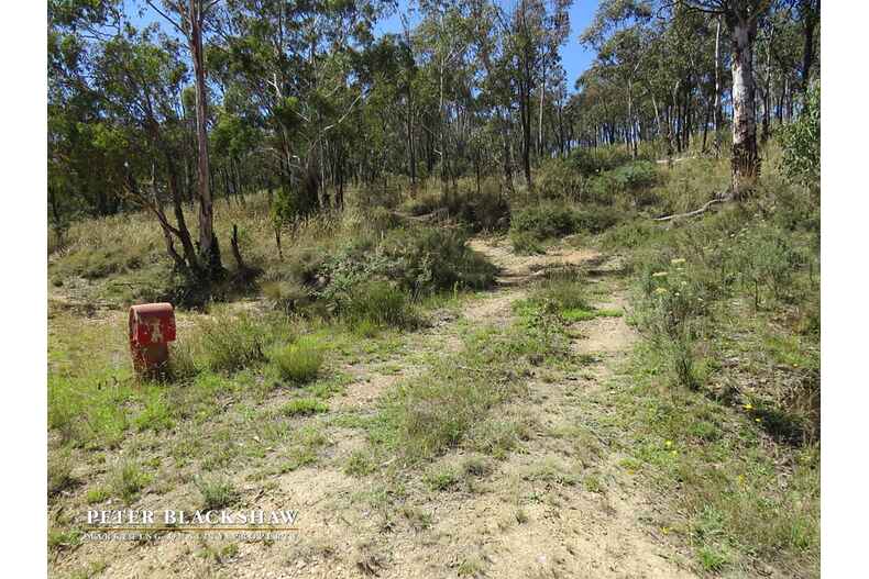 Lot 6/2088 Jerangle Road Jerangle Lot 6/2088 Jerangle Road Jerangle