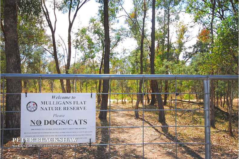 Lot 5/9 Doris Turner Street Forde Lot 5/9 Doris Turner Street Forde