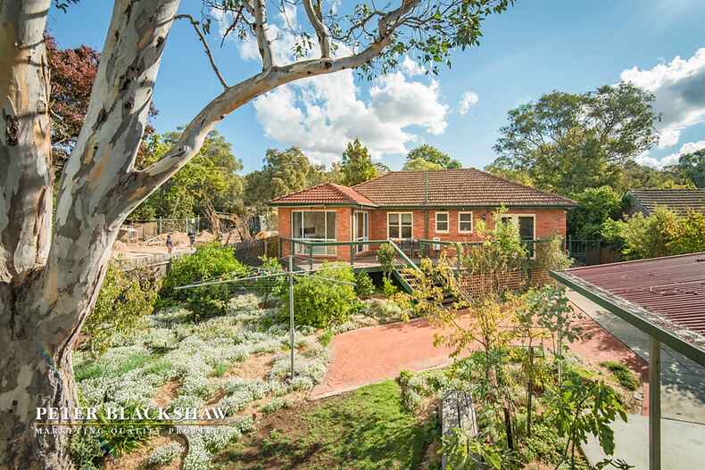 36 Miller Street O'Connor 36 Miller Street O'Connor