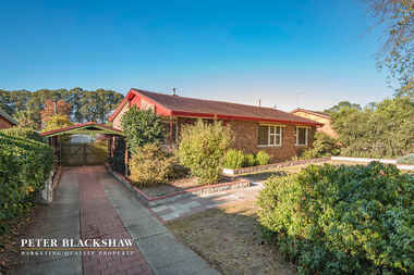 41 Lumeah Street Narrabundah