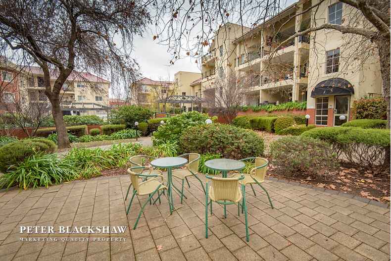 2/10 Dominion Circuit Forrest 2/10 Dominion Circuit Forrest