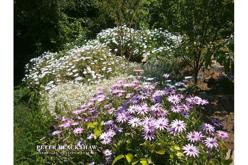 42 Jaeger Circuit Bruce 42 Jaeger Circuit Bruce