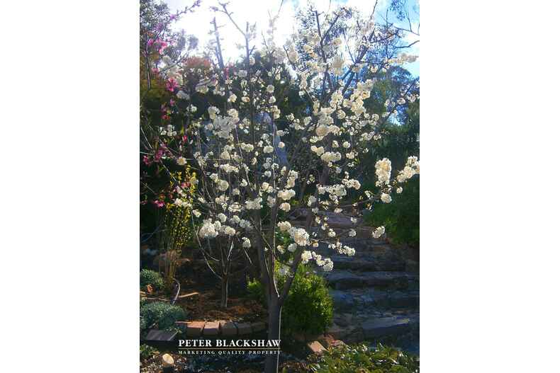 42 Jaeger Circuit Bruce 42 Jaeger Circuit Bruce