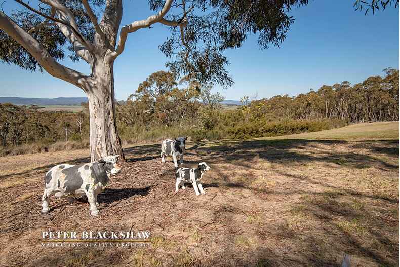 137 Widgiewa Road Carwoola 137 Widgiewa Road Carwoola