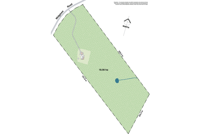 137 Widgiewa Road Carwoola 137 Widgiewa Road Carwoola