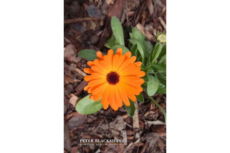 Lot 4/6 Raiwalla Court Ngunnawal Lot 4/6 Raiwalla Court Ngunnawal