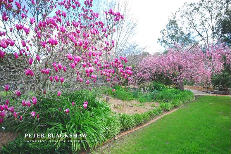 7 Fernyhough Crescent Lyneham 7 Fernyhough Crescent Lyneham