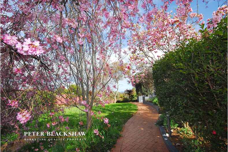 7 Fernyhough Crescent Lyneham 7 Fernyhough Crescent Lyneham