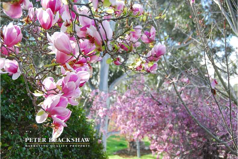 7 Fernyhough Crescent Lyneham 7 Fernyhough Crescent Lyneham