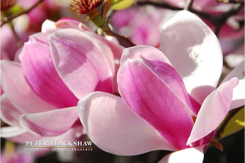 7 Fernyhough Crescent Lyneham 7 Fernyhough Crescent Lyneham