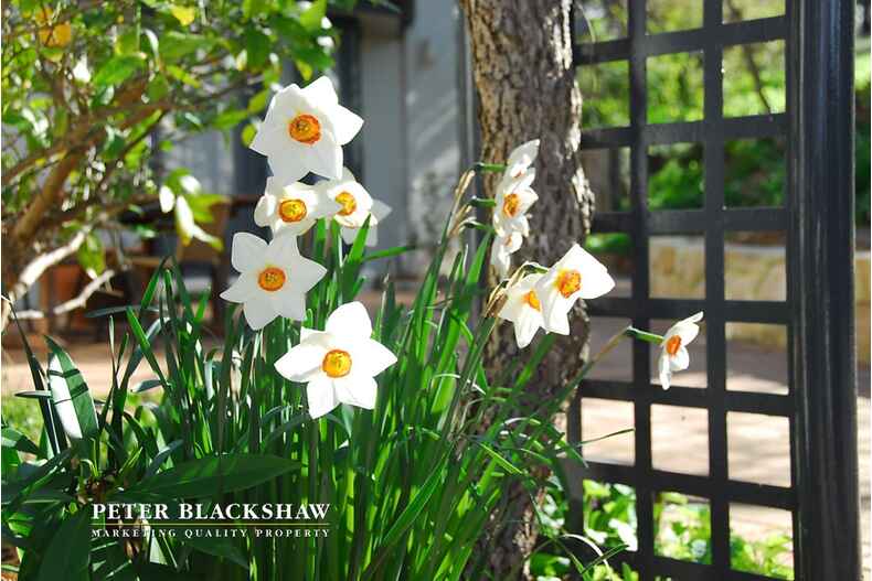 7 Fernyhough Crescent Lyneham 7 Fernyhough Crescent Lyneham