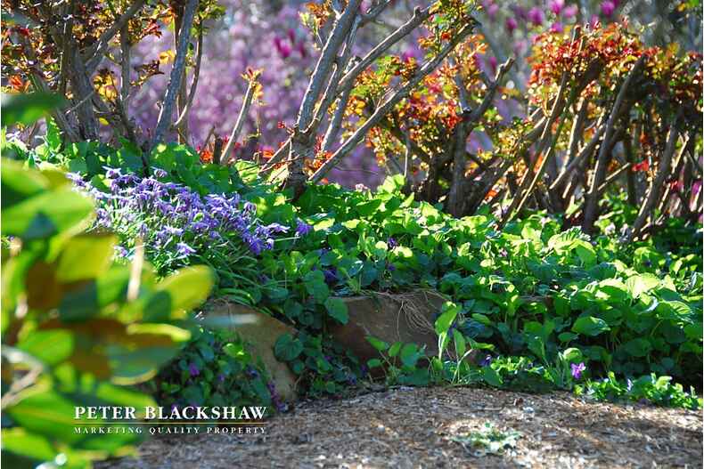 7 Fernyhough Crescent Lyneham 7 Fernyhough Crescent Lyneham