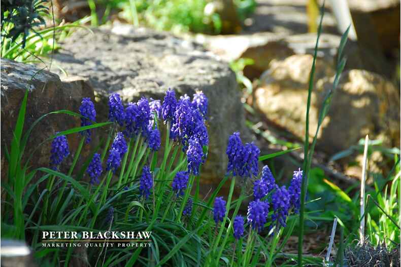 7 Fernyhough Crescent Lyneham 7 Fernyhough Crescent Lyneham