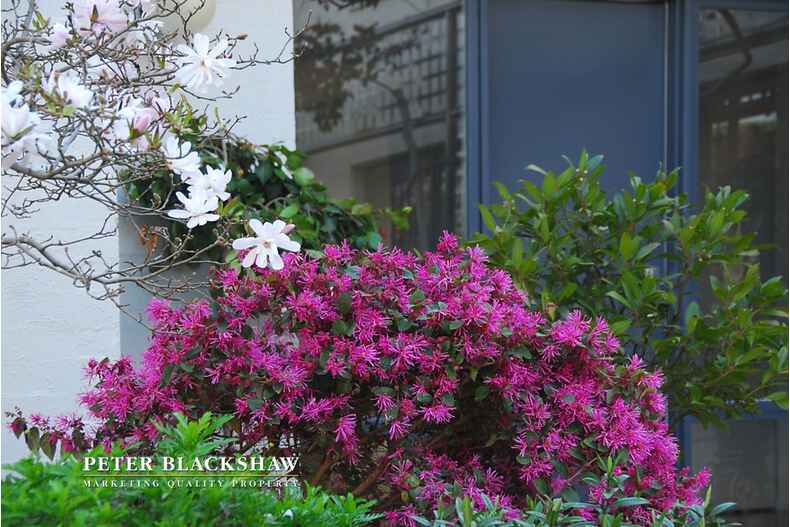 7 Fernyhough Crescent Lyneham 7 Fernyhough Crescent Lyneham