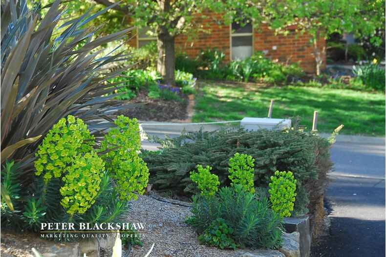 7 Fernyhough Crescent Lyneham 7 Fernyhough Crescent Lyneham