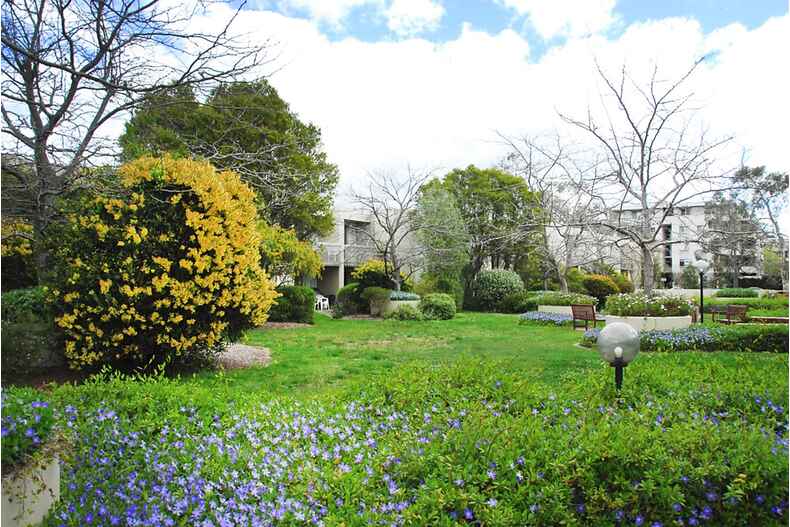 63/49 Darling Street Barton 63/49 Darling Street Barton