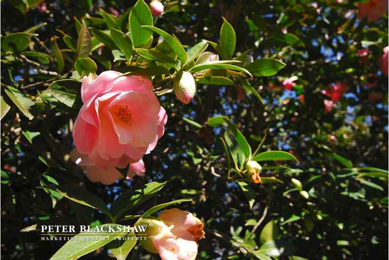 4 Currong Street South Reid 4 Currong Street South Reid