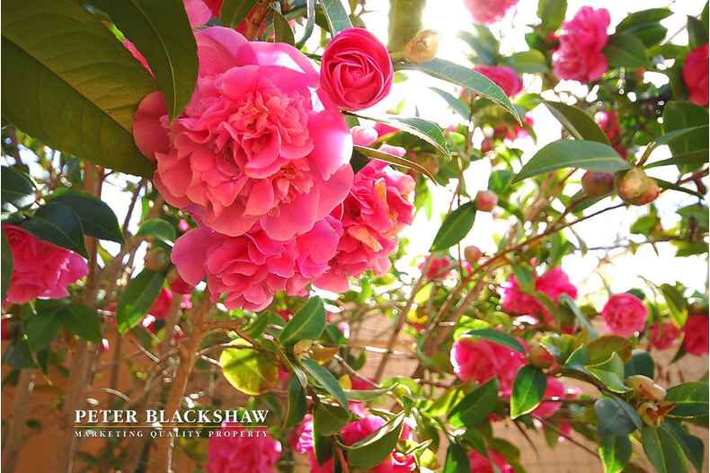 2/23 Temperley Street Nicholls 2/23 Temperley Street Nicholls