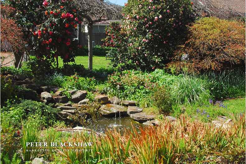 4 Currong Street South Reid 4 Currong Street South Reid