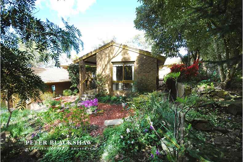 1/18 Jaeger Circuit Bruce 1/18 Jaeger Circuit Bruce