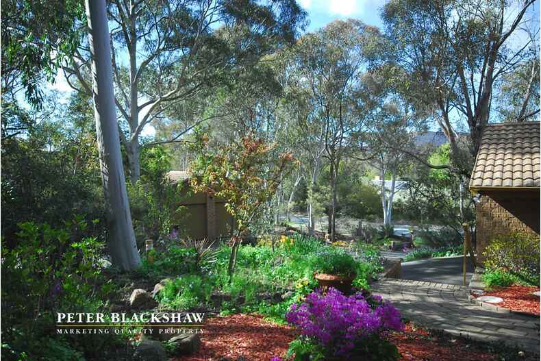 1/18 Jaeger Circuit Bruce 1/18 Jaeger Circuit Bruce