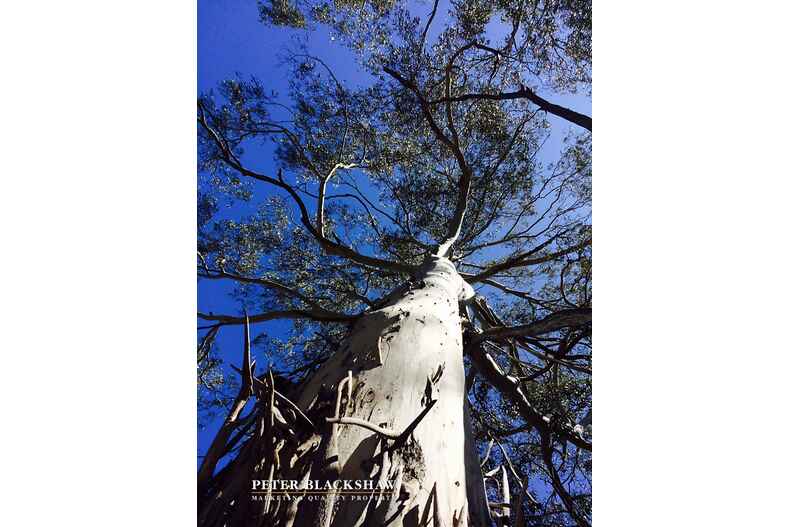 Lot 6/2088 Jerangle Road Jerangle Lot 6/2088 Jerangle Road Jerangle