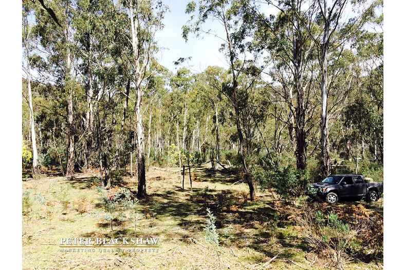 Lot 6/2088 Jerangle Road Jerangle Lot 6/2088 Jerangle Road Jerangle