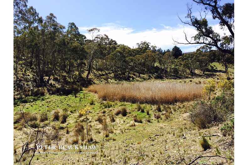 Lot 6/2088 Jerangle Road Jerangle Lot 6/2088 Jerangle Road Jerangle