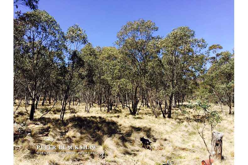 Lot 6/2088 Jerangle Road Jerangle Lot 6/2088 Jerangle Road Jerangle