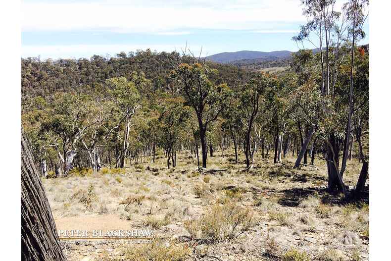 Lot 6/2088 Jerangle Road Jerangle Lot 6/2088 Jerangle Road Jerangle