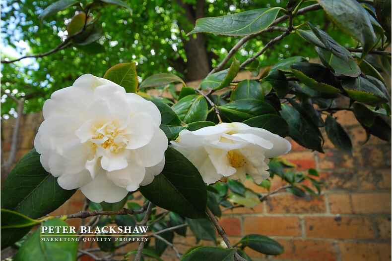 56/1 Kogarah Lane Reid 56/1 Kogarah Lane Reid