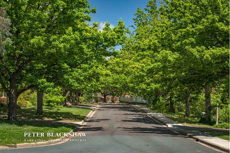 Lot 1/1B Finniss Crescent Narrabundah Lot 1/1B Finniss Crescent Narrabundah