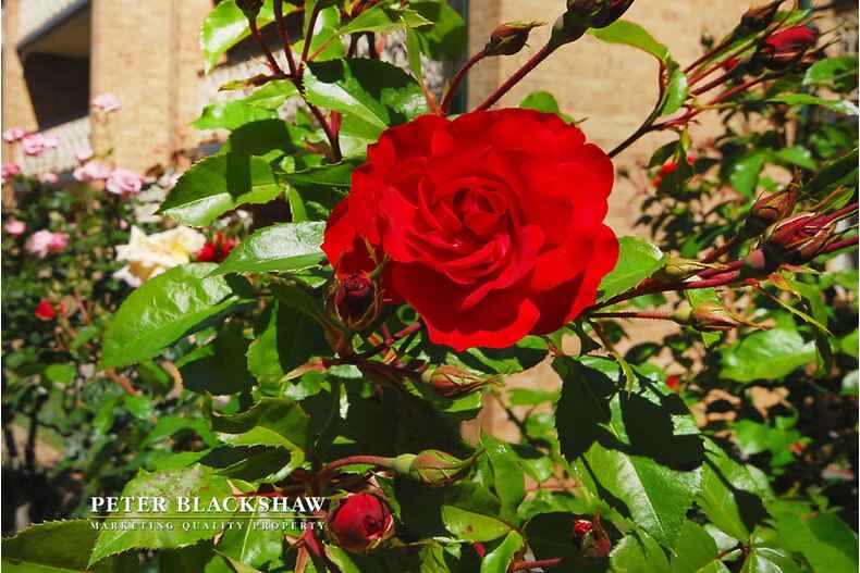 104/35 Currong Street South Reid 104/35 Currong Street South Reid