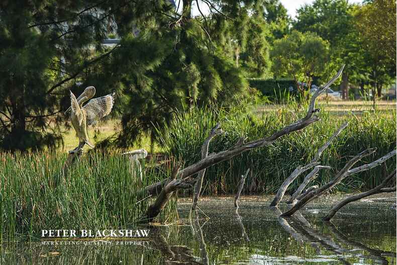 Lot 5/82 Diamond Street Amaroo Lot 5/82 Diamond Street Amaroo