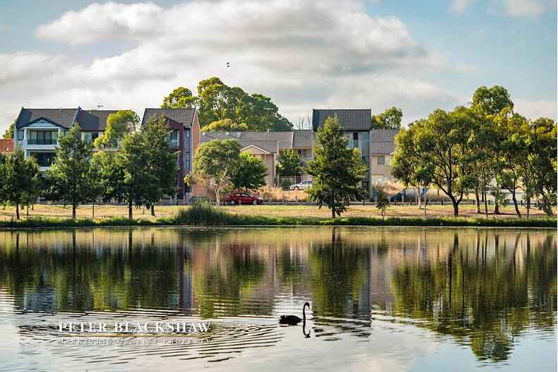 Lot 4/64 Phyllis Ashton Circuit Gungahlin Lot 4/64 Phyllis Ashton Circuit Gungahlin