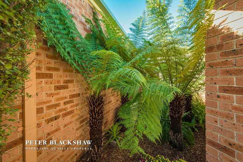 Lot 1/4/114 Barr Smith Avenue Bonython