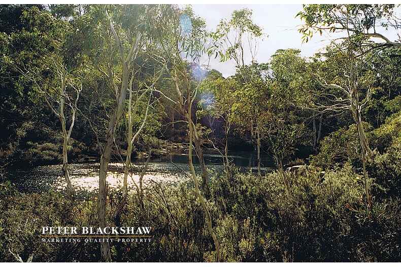 Lot 50 Kennedys Road Yaouk Lot 50 Kennedys Road Yaouk