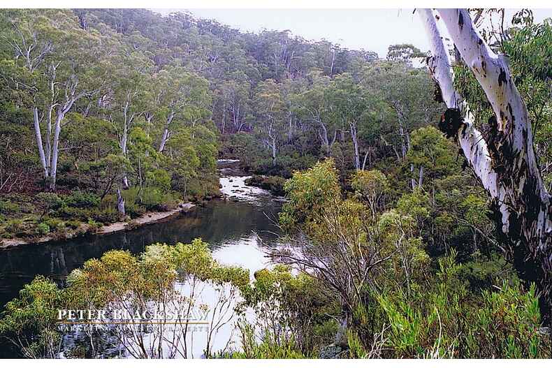 Lot 50 Kennedys Road Yaouk Lot 50 Kennedys Road Yaouk