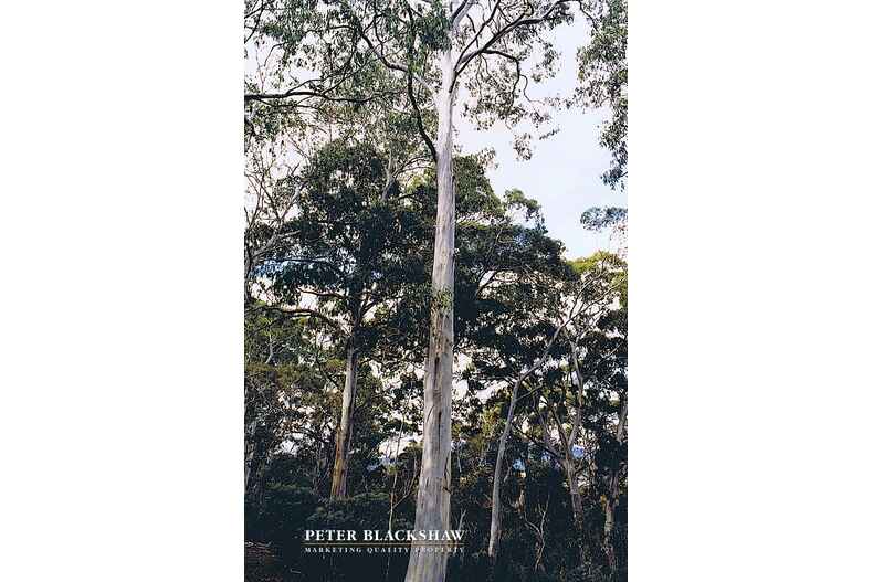 Lot 50 Kennedys Road Yaouk Lot 50 Kennedys Road Yaouk