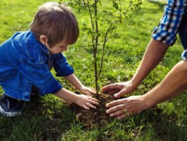 What Do You Need To Know About Buying A Family Home In Canberra? What Do You Need To Know About Buying A Family Home In Canberra?