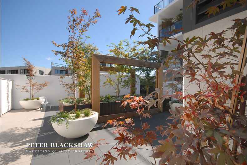 206/55 The Causeway Kingston 206/55 The Causeway Kingston