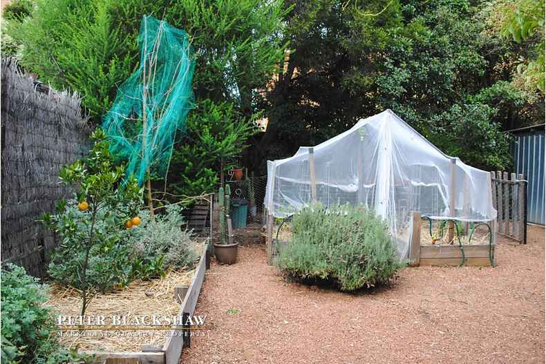 24 McKeahnie Street Crestwood 24 McKeahnie Street Crestwood