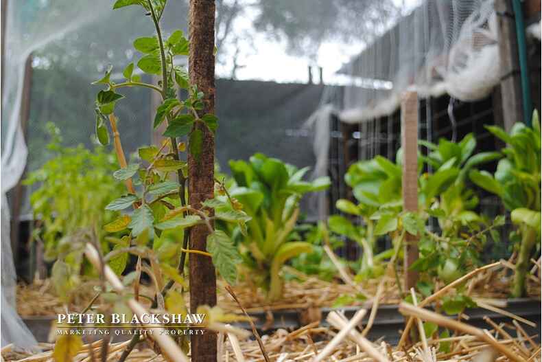 24 McKeahnie Street Crestwood 24 McKeahnie Street Crestwood