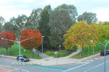 126/53 Eyre Street Kingston
