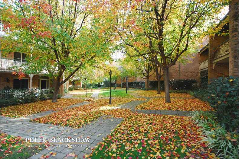 41/1 Allambee Street Reid 41/1 Allambee Street Reid