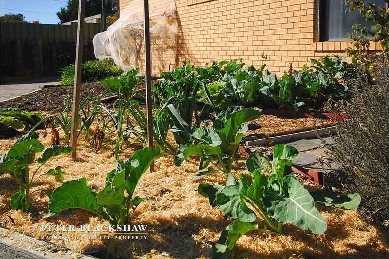 50 Twamley Crescent Richardson 50 Twamley Crescent Richardson