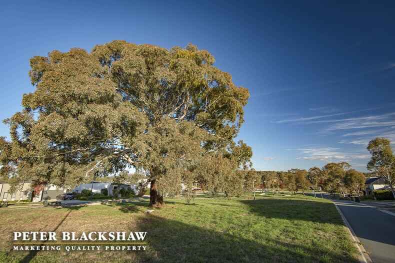 7 Pahlman Street Forde 7 Pahlman Street Forde