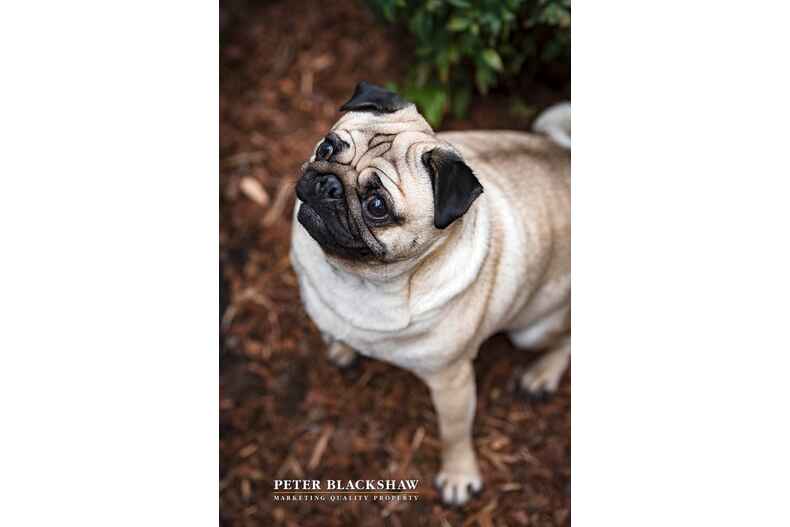 Lot 36/10 Quain Street Crace Lot 36/10 Quain Street Crace