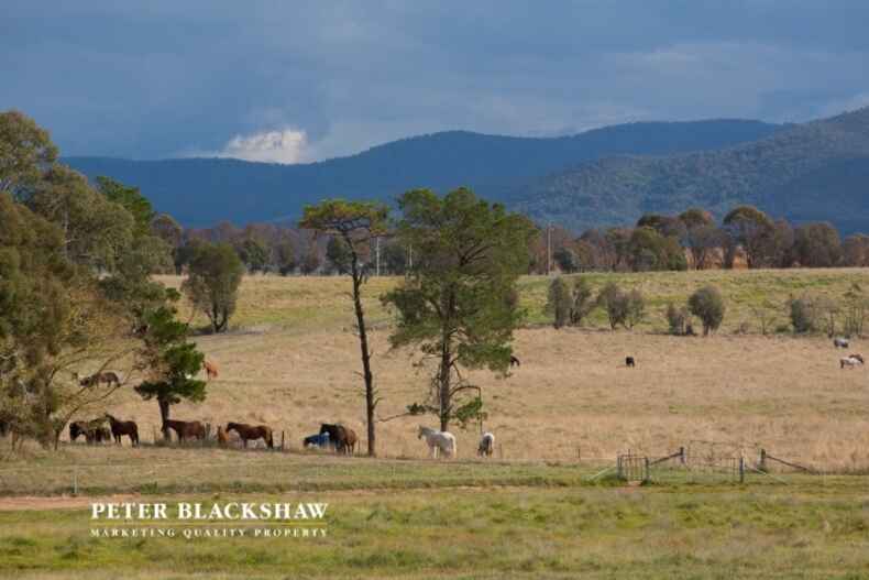 78 Hollows Circuit Macgregor 78 Hollows Circuit Macgregor